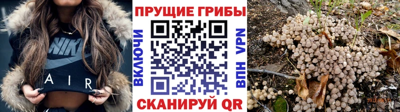 Псилоцибиновые грибы GOLDEN TEACHER  где купить наркотик  Мегион 